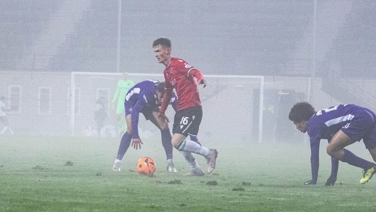 hannover 96 ii erzgebirge aue