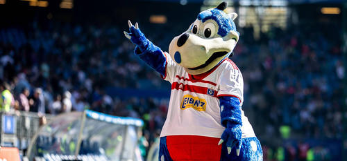 Www.Hannover 96.De Www.Hannover 96.De