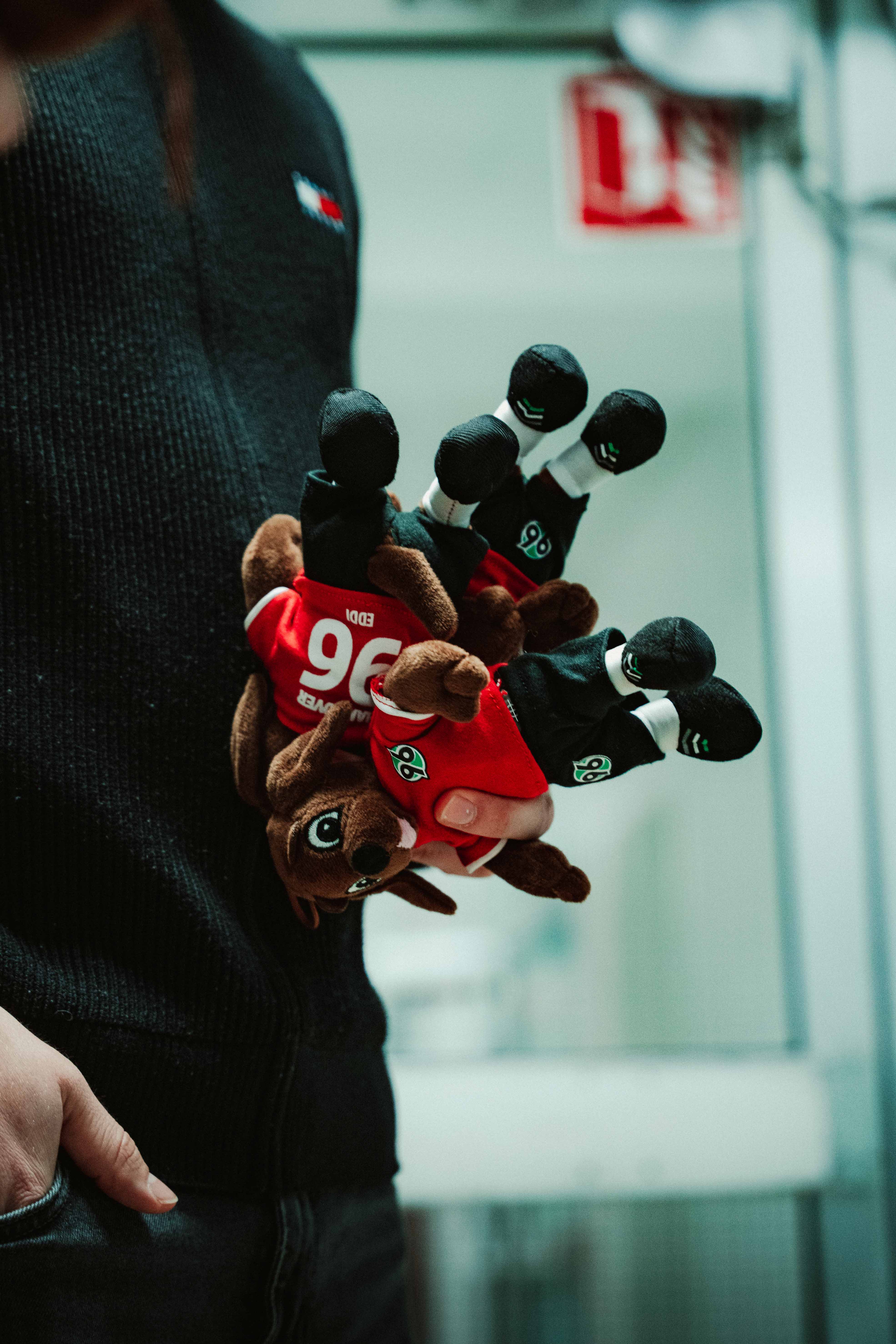 Eine handvoll EDDIs.