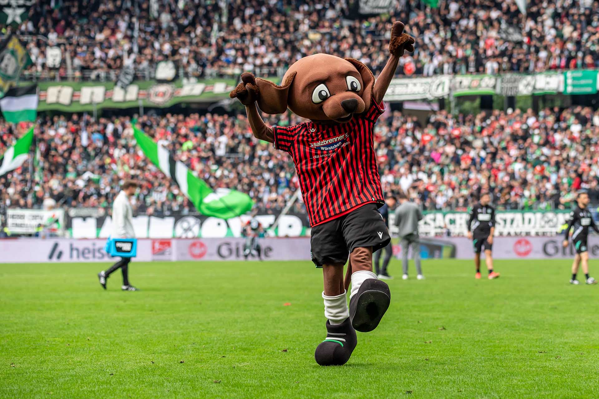 EDDI springt durchs Stadion und hebt dabei die Pfoten, im Hintergrund volle Ränge. 