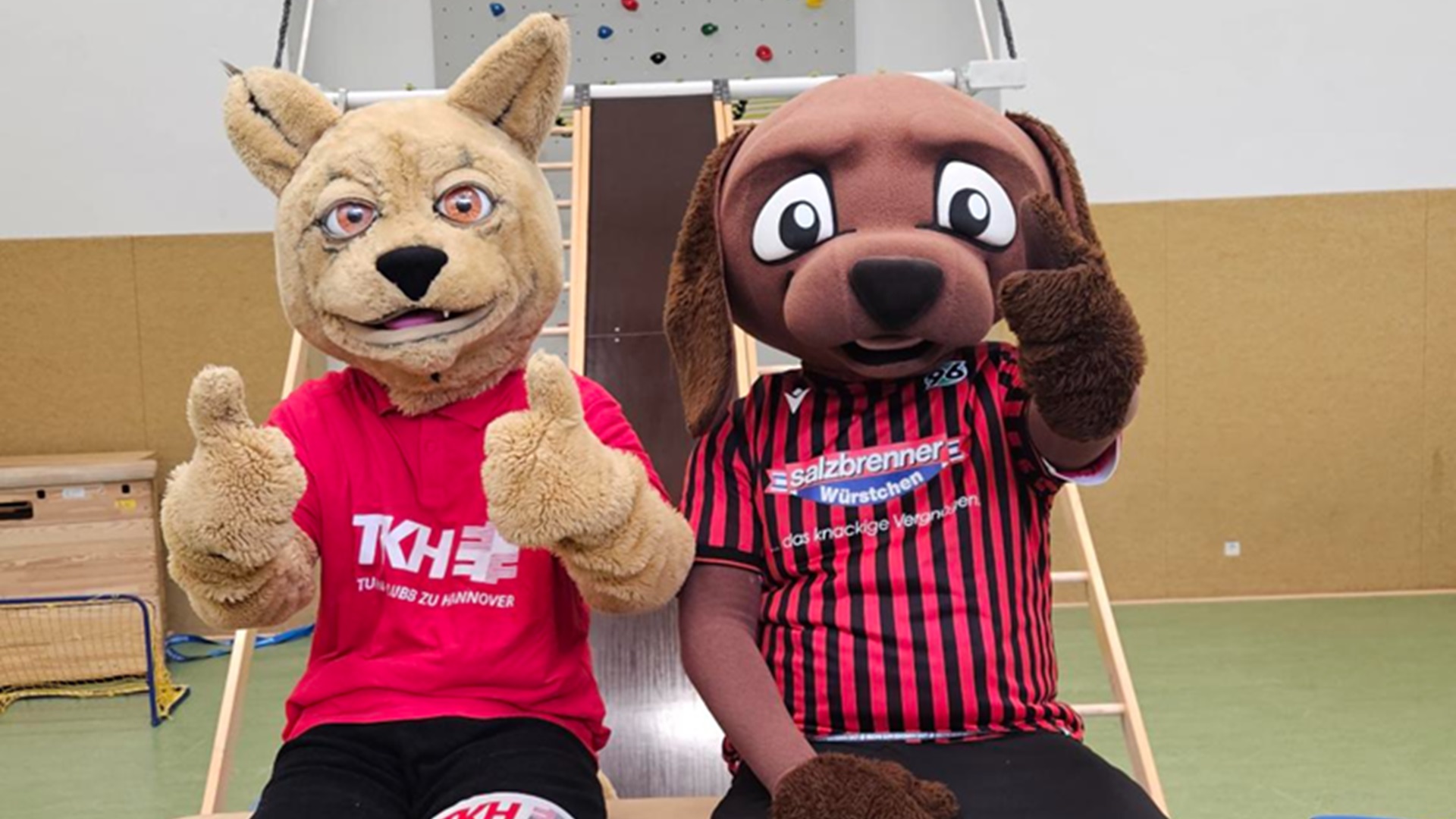 Lucky Luchs und EDDI sitzen auf einer Bank