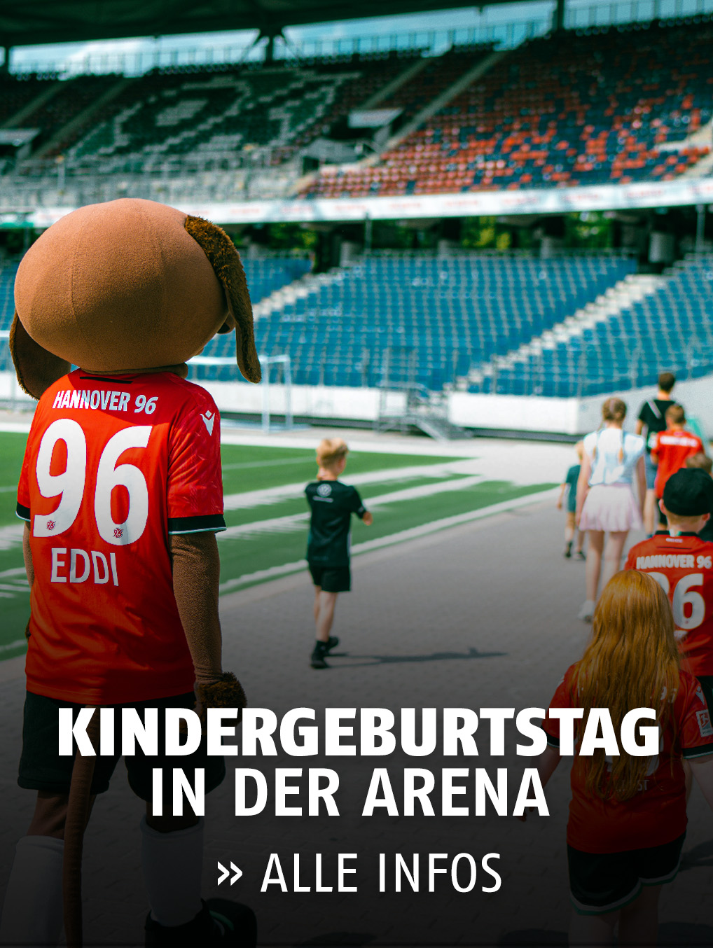 eishockey del spiele