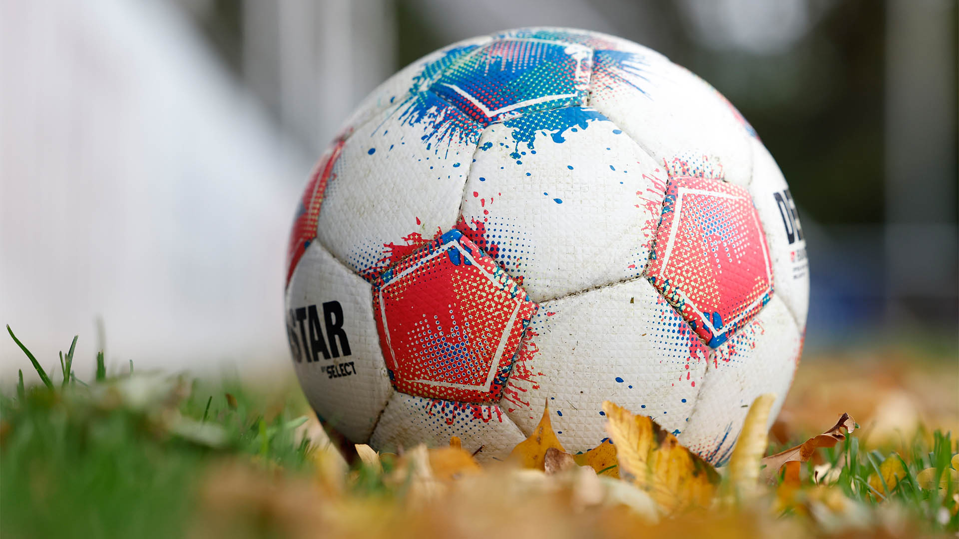 Ein Derbystar-Ball liegt im Laub.