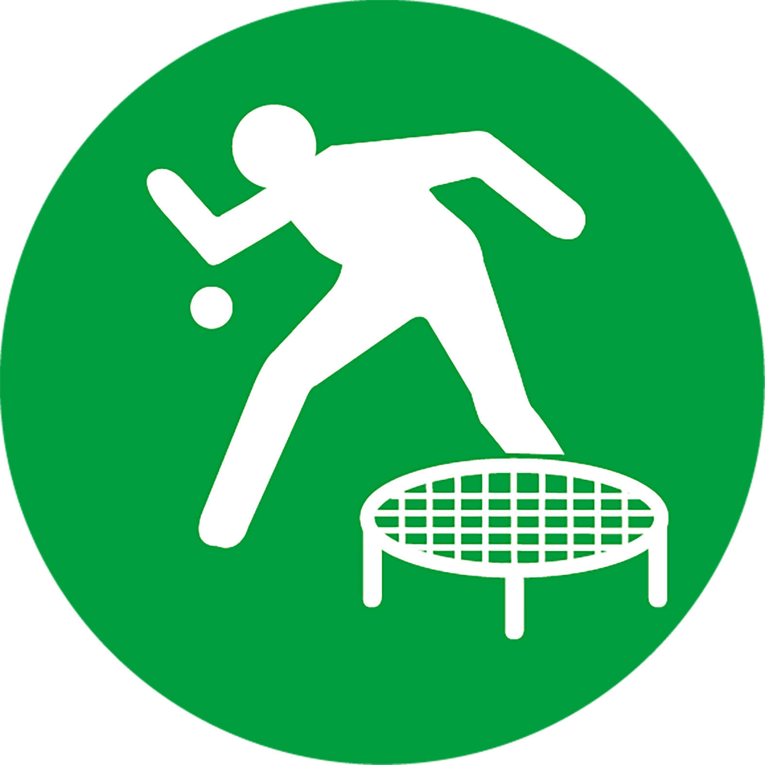 Roundnet