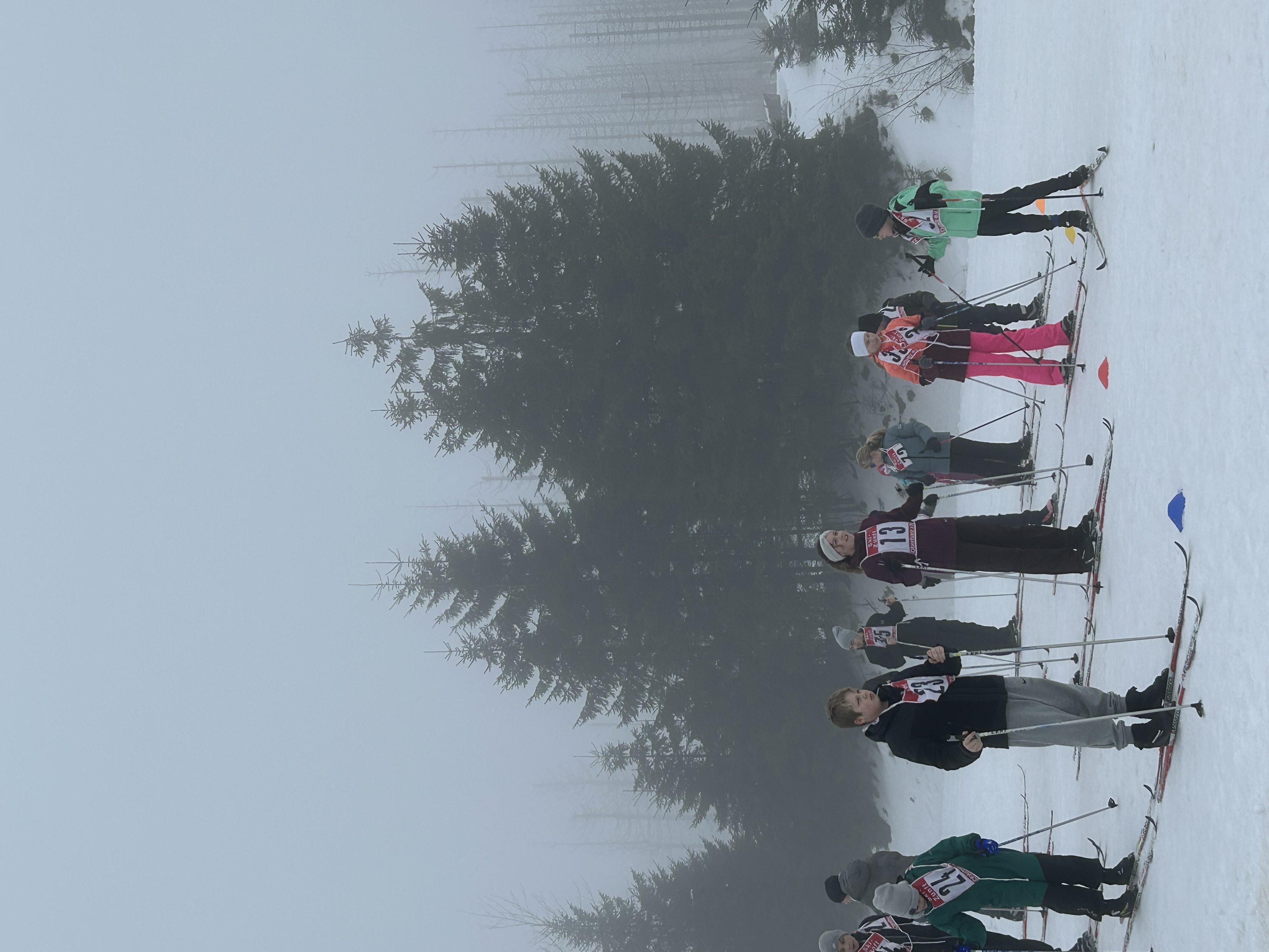 Ski-Langlauf auf der Piste 
