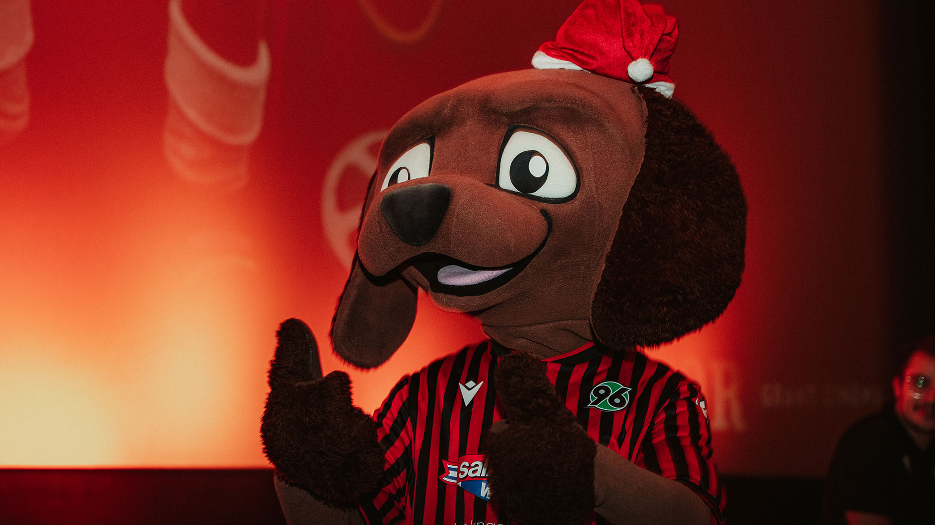 EDDI in Nahaufnahme.