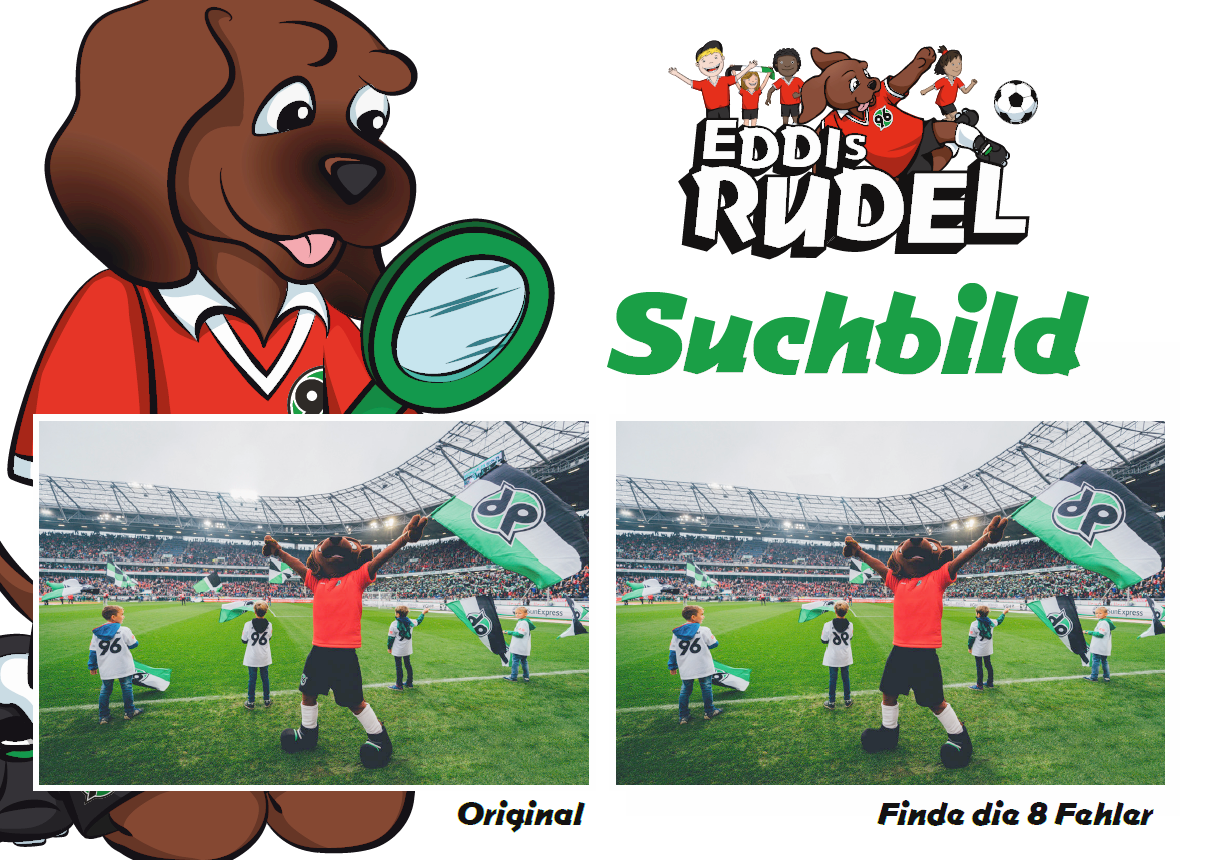 Hannover 96 Malvorlagen